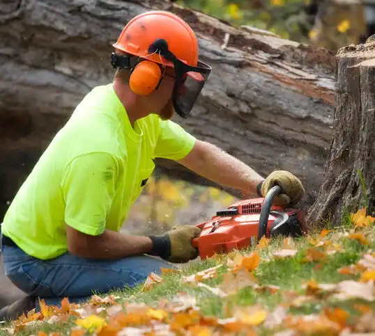 tree services Maury